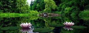 reiki courses