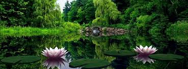 reiki courses